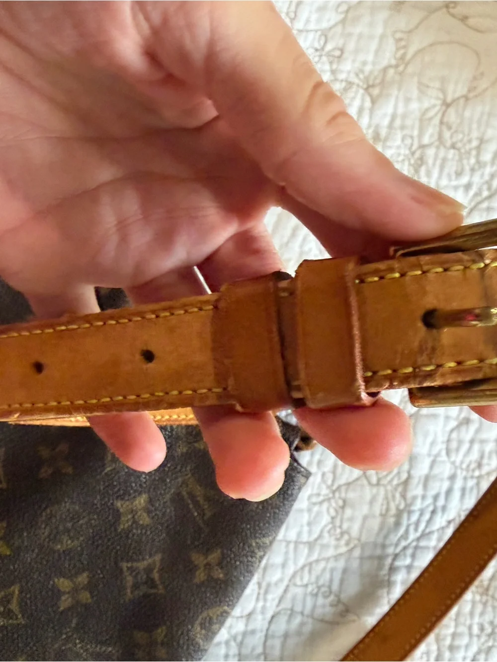 Louis Vuitton iconic louis